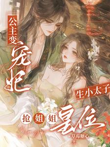 公主变宠妃，生小太子抢姐姐皇位